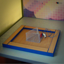 Demonstrator of magnetic field
